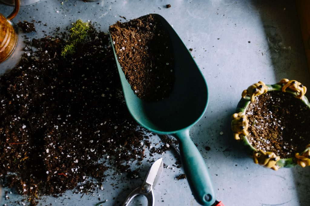 Does your garden need an update this summer? Here are five funky and fun garden update ideas to give you inspiration no matter the size of your outdoor space.