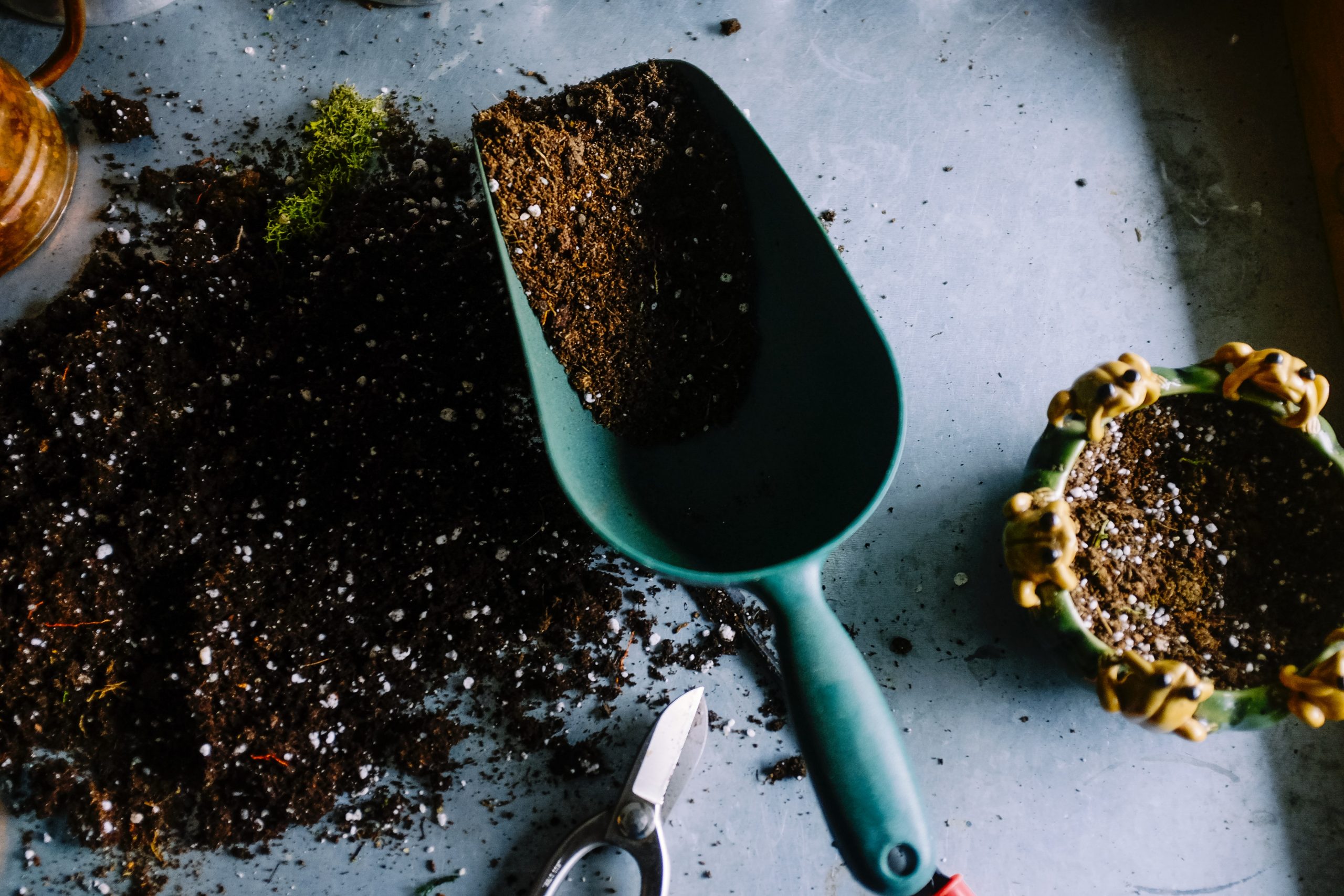 Does your garden need an update this summer? Here are five funky and fun garden update ideas to give you inspiration no matter the size of your outdoor space.