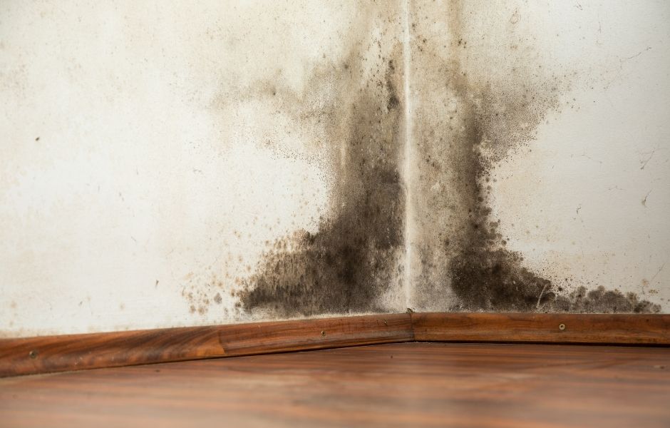 At this time of year, in particular, mould can be a big problem for many homes. Here are five ways to help keep mould at bay.